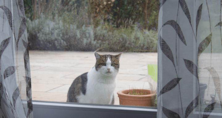 Bildschirmfoto 2017-12-03 um 15.37.55