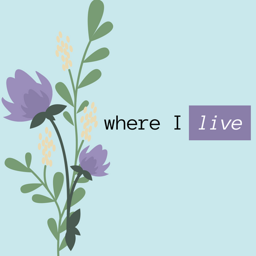 Where I live: the blue&nbsp;box