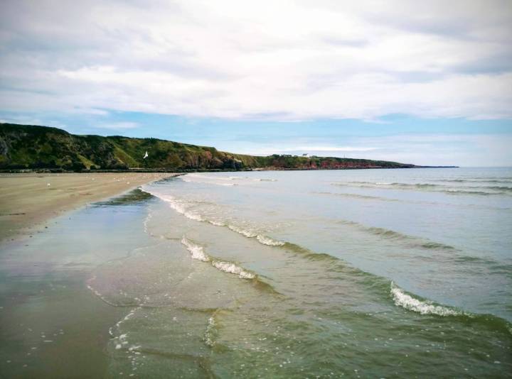 can the truth set you&nbsp;free?