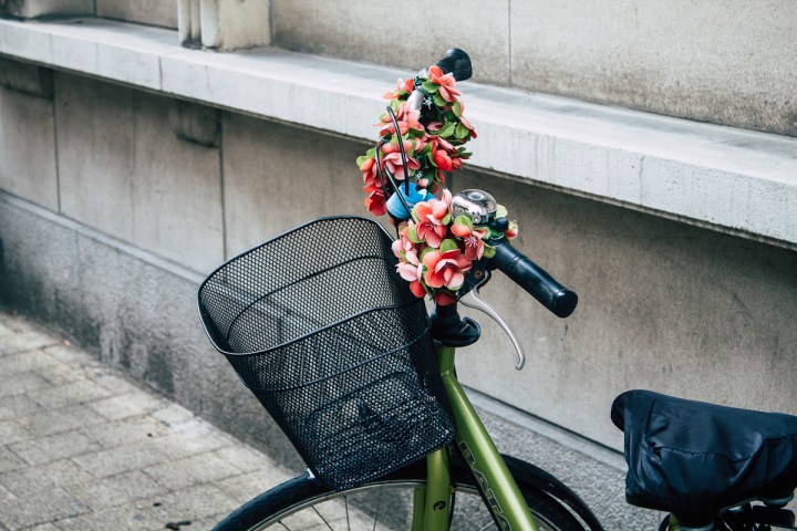 IMG_2828MD_WS17_FJ_171207