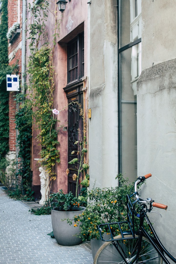 IMG_3195MD_WS17_FJ_171207